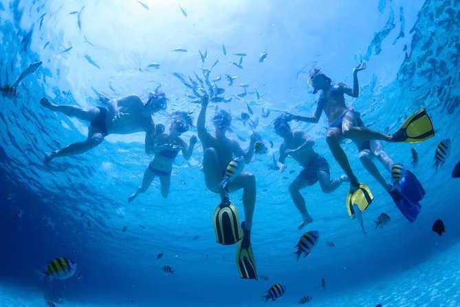2.5 Hour Xpress Snorkel from Ka’anapali Beach - The Mala Wharf reef: why the old pier location is special