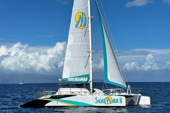 2.5 Hour Xpress Snorkel from Ka’anapali Beach - Swimming requirements: you do need to be comfortable