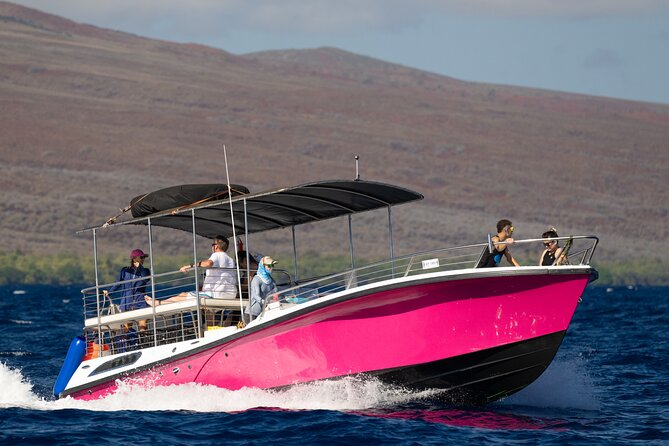 2 Hour Afternoon Lahaina Whale Watch - The real highlight: how close sightings happen on a small boat
