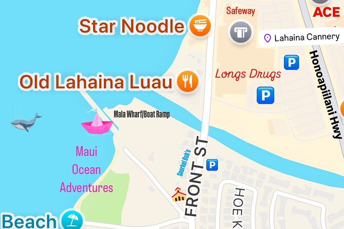 2 Hour Afternoon Lahaina Whale Watch - Should you book the Maui Ocean Adventures 2-hour whale watch?