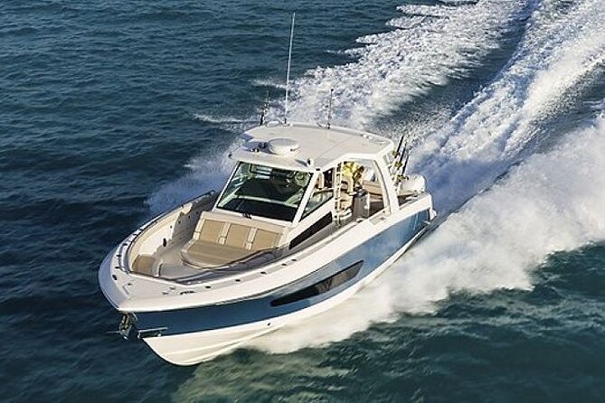 2-Hour Ma'alaea Humpback Whale Watching Cruise for up to 6 Guests - Seeing whales up close, safely and without chasing them