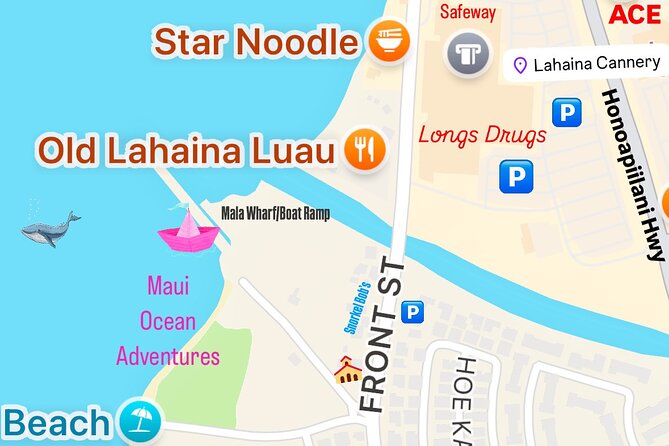 2 Hour Prime Time Maui Whale Watching - Prime time in Maui waters: when humpbacks are most likely to show