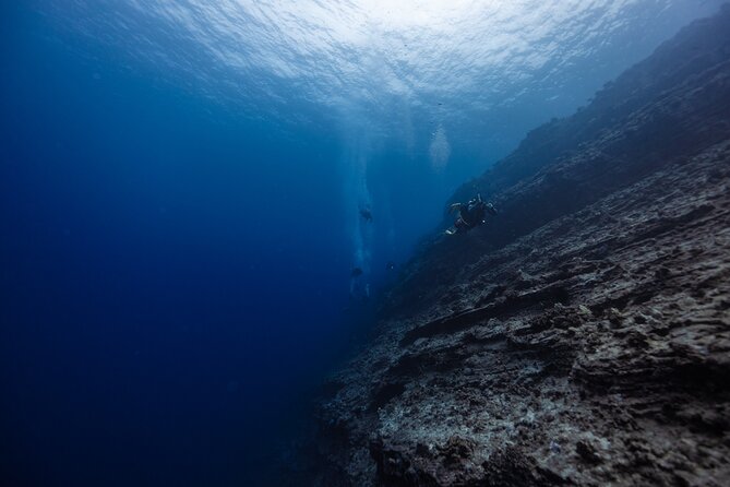 2-Tank Dive Featuring the Molokini Crater - Key highlights worth caring about
