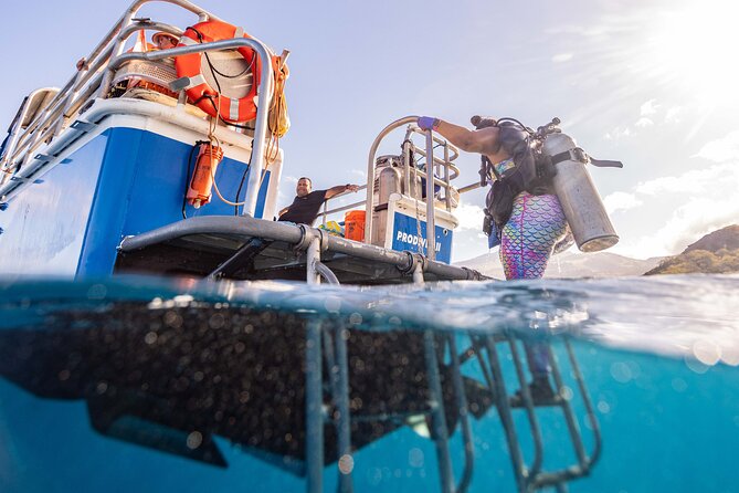 2-Tank Dive Featuring the Molokini Crater - The two-tank structure: Molokini first, then a south-side site