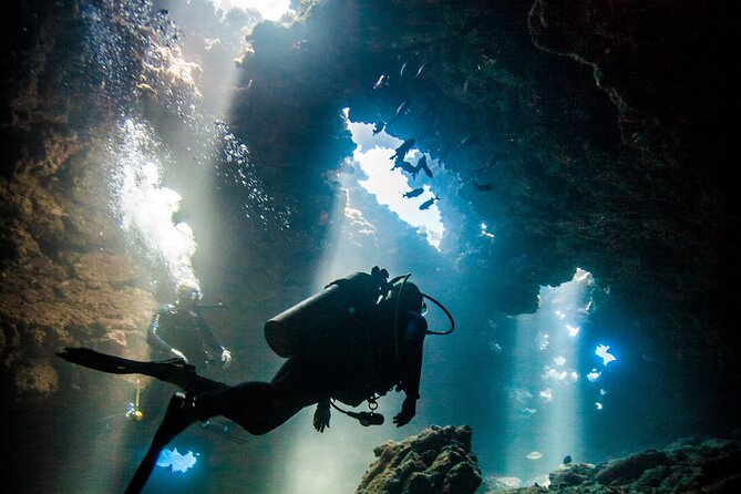 2 Tank Lanai Cathedral Scuba Dive Via Boat for Certified Divers - Key things that make this Lanai trip worth your time