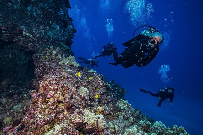 2 Tank Lanai Cathedral Scuba Dive Via Boat for Certified Divers - The crew vibe: small-group safety, real coaching, and familiar names