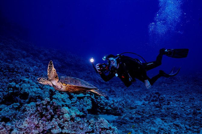 2 Tank Lanai Cathedral Scuba Dive Via Boat for Certified Divers - Who should book this Lanai cathedral outing