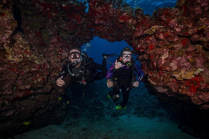 2 Tank Lanai Cathedral Scuba Dive Via Boat for Certified Divers - Should you book this 2-tank Lanai cathedral trip?