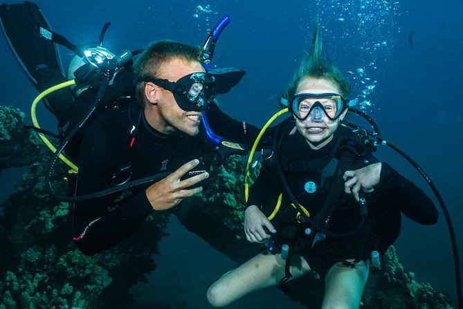 2-Tank Maui Turtle Scuba Dive or Snorkel Boat Tour - Key points before you go