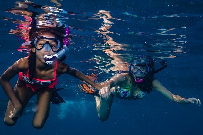2-Tank Maui Turtle Scuba Dive or Snorkel Boat Tour - Meeting at Lahaina: timing, location, and what to expect on arrival