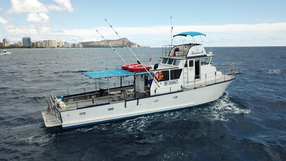 3-Hour Honolulu Bottom Fishing Adventure - Meeting Under the 900-FISH Sign: Starting at Kewalo Basin