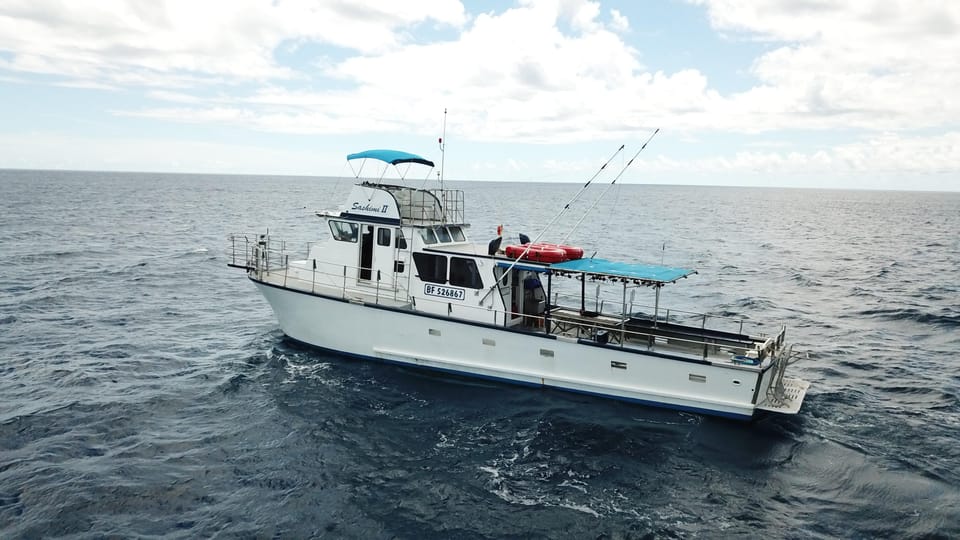 3-Hour Honolulu Bottom Fishing Adventure - Who Should Book This Family-Friendly Honolulu Fishing Trip