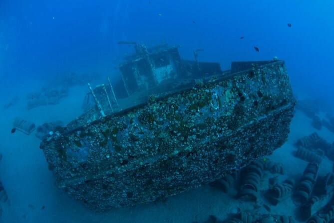 3-Tank Dive Featuring the Molokini Crater - Three Tanks, One Weather Window: How the Schedule Feels