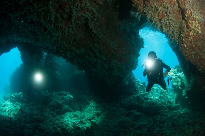 3-Tank Dive Featuring the Molokini Crater - Price and Value for a 3-Tank Advanced-Experience