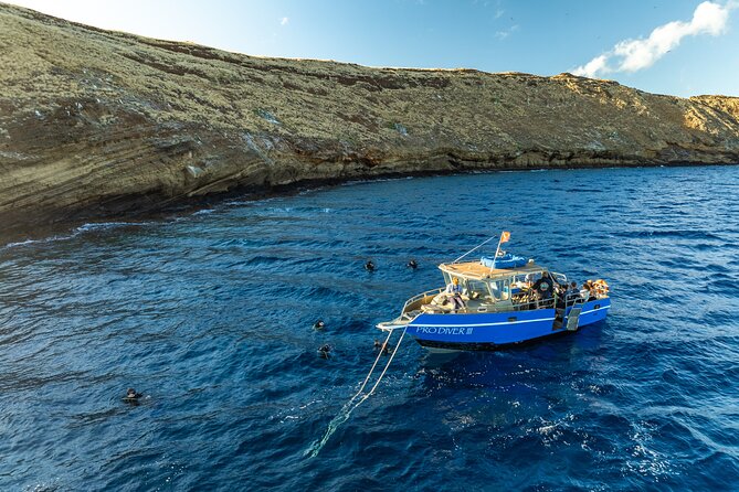 3-Tank Dive Featuring the Molokini Crater - Kīhei Boat Landing at 6:15 AM: The Day’s Pace and Group Size