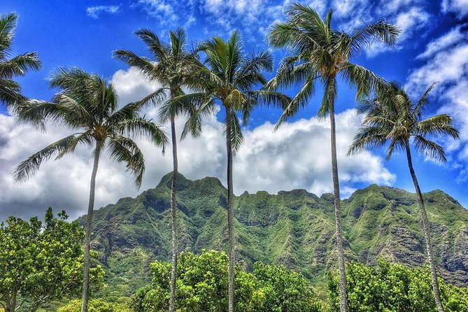 4 Hour Half Day Island Jeep Tour - What to bring, and how strenuous is it really