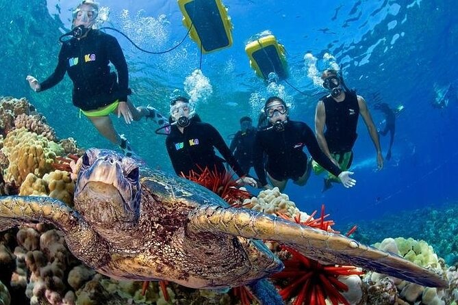 4-Hour Koa Kai Molokini Adventure Snorkel - Your 7:00am start from Maalaea Harbor (and what the 4 hours really feel like)