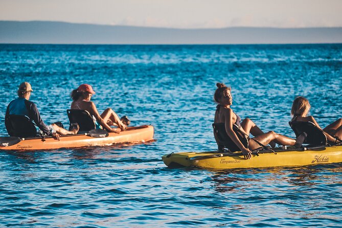 4 hour Private Custom Kayak Tour Lahaina - Wildlife Route Along West Maui: Whale Watching When It’s In Season