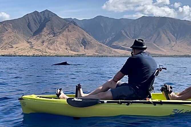 4 hour Private Custom Kayak Tour Lahaina - Bottom Fishing on Maui Water: Fun, Food, and What to Expect