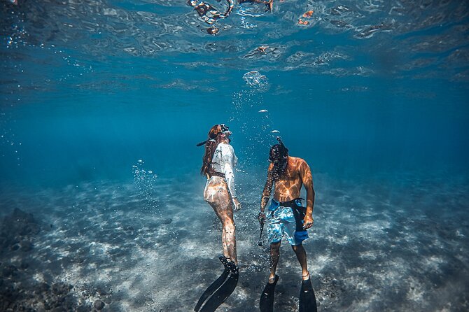 4 hour Private Custom Kayak Tour Lahaina - What’s Included (and What You’ll Need to Bring)