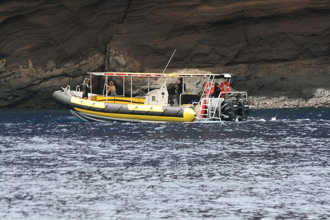 5 Hour Molokini Snorkel & Turtle Tour in Maui - Key things I’d circle on your planning list