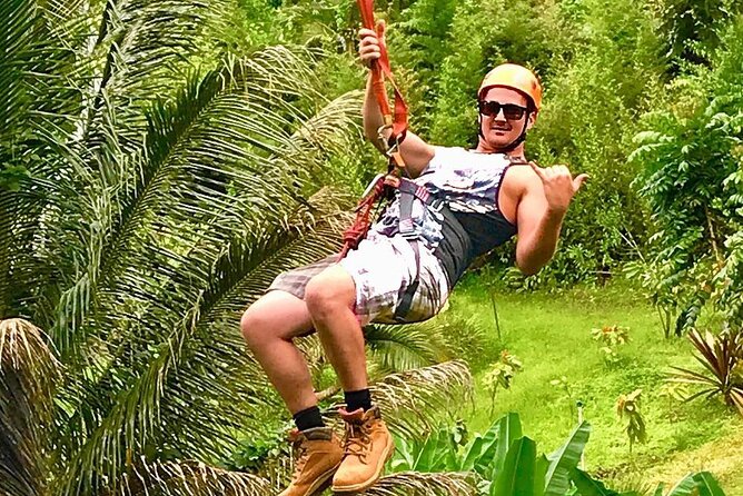 5 Line Jungle Zipline Eco Adventure - What’s the real value of the $142 price?