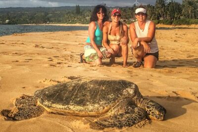 8 Hour Circle Island Jeep Tour - The 9:00am Start: How to Set Yourself Up for a Smooth Day