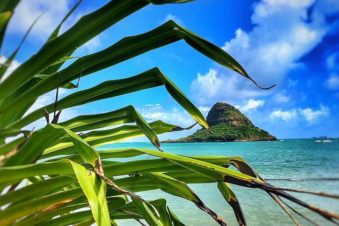 8 Hour Circle Island Jeep Tour - Food, Drinks, and Budget Reality (Lunch Is On You)