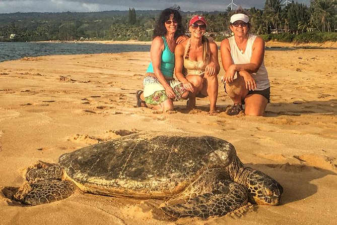 8 Hour Circle Island Jeep Tour - The 9:00am Start: How to Set Yourself Up for a Smooth Day