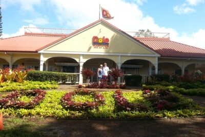 8-Hour Luxury Four Door Convertible Tour of Oahu's South and North Shores - Getting picked up and staying on schedule