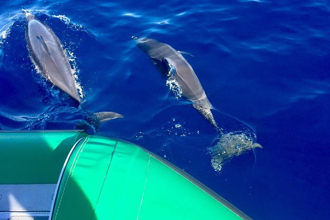 Afternoon Adventure Snorkel from Ka'anapali - Boarding rules: three stairs, and why you should take them seriously
