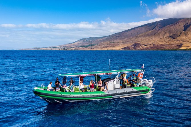 Afternoon Adventure Snorkel from Ka'anapali - Family-friendly for kids 5+ (and still fun for adults)