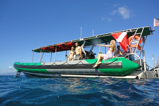 Afternoon Adventure Snorkel from Ka'anapali - What you’ll see: reef fish, coral, turtles, and more