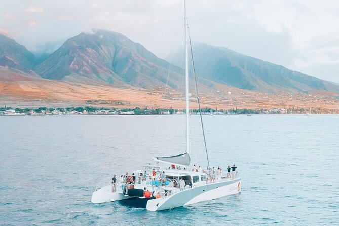 'Alihilani Sunset Sail from Ma'alaea Harbor - Whale-Watching Chances: December Through May
