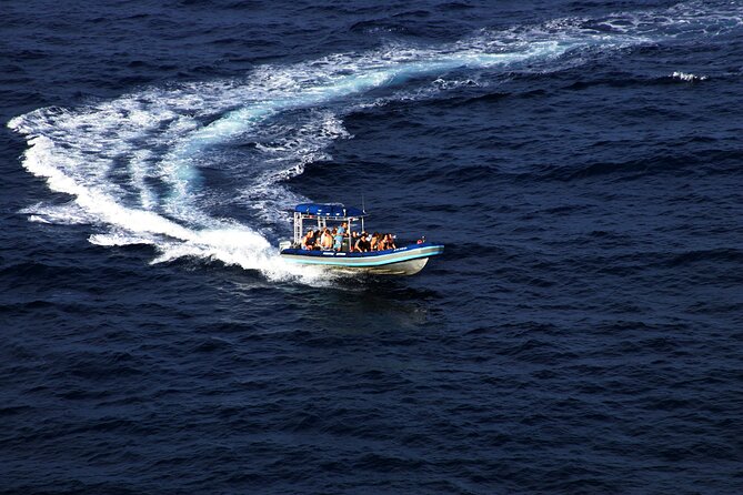 All-Inclusive 5.5 hr La Perouse Bay & Molokini Sea Cave Boat Tour - Snorkeling En Route: What to Expect Before Molokini