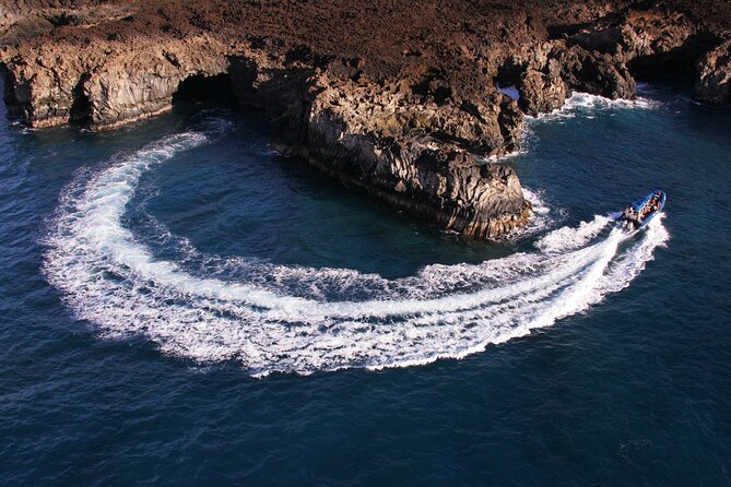 All-Inclusive 5.5 hr La Perouse Bay & Molokini Sea Cave Boat Tour - Food and Dietary Options: What Changes for Vegans and Gluten-Free Folks
