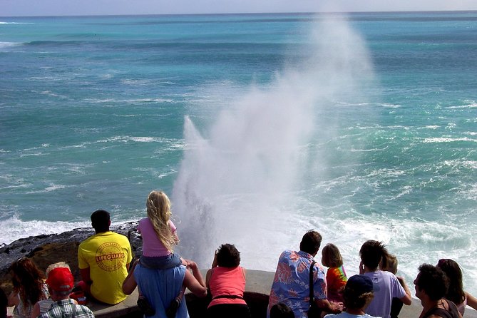 All Inclusive Ultimate Circle Island Tour, Waimea Falls & Lunch - Ka’iwi Coast and the whale season idea: planning around nature