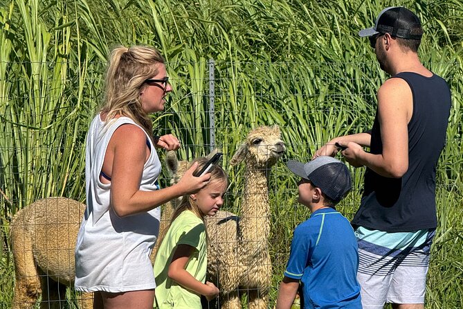 Alpaca Farm Experience on the Road to Hana - The pastures, photos, and the small details that make it feel real