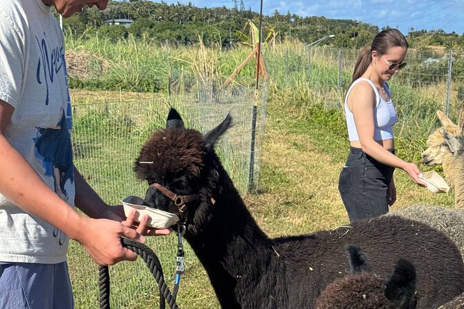 Alpaca Farm Experience on the Road to Hana - Snacks and farm refreshment on the Hana drive
