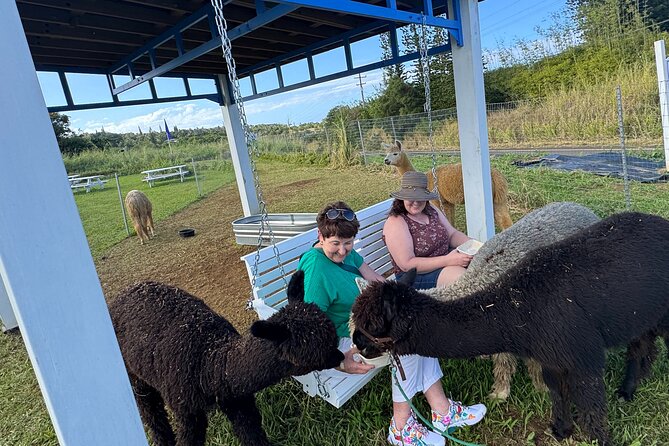 Alpaca Farm Experience on the Road to Hana - Price and value: is $49 worth it for 30 minutes?
