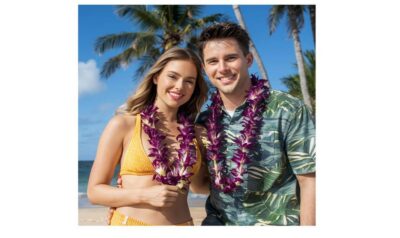Arrival Lei Greeting --HNL to Waikiki Private Transfer - Pickup That Doesn’t Play Games: Flight Tracking and Where to Meet