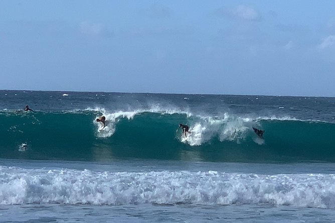 Beaches, Food & Aloha: Private Oahu Tour - Laniakea turtle beach: the kind of wildlife stop you plan around
