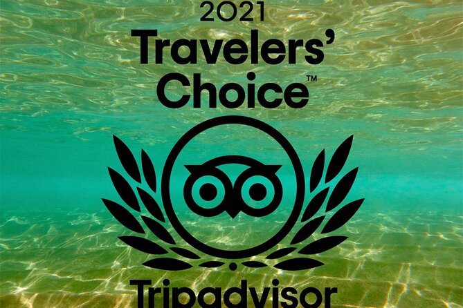 Beginner Scuba Dive in Lahaina: Swimming Required - What You Might See: Turtles, Eels, Rays, and Schools of Fish