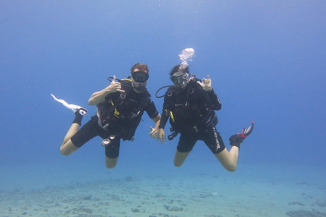 Beginner Scuba Dive in Lahaina: Swimming Required - Swimming Is Required: The Real Make-or-Break Detail