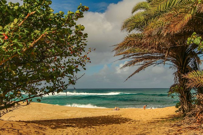 Best of Oahu: Pearl Harbor & Oahu Circle Island Tour from Waikiki - Tropical Farms macadamia stop: samples, coffee, and a reset