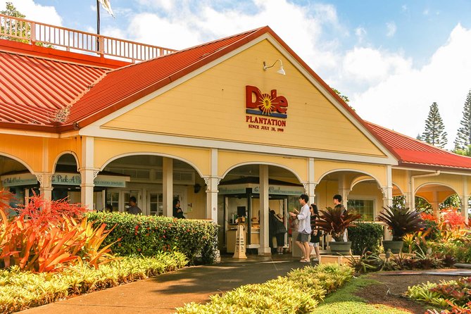 Best of Oahu: Pearl Harbor & Oahu Circle Island Tour from Waikiki - Nuʻuanu Pali lookout: short time, big views, strong storytelling