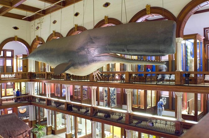 Bishop Museum General Admission Ticket - Key highlights to know before you go
