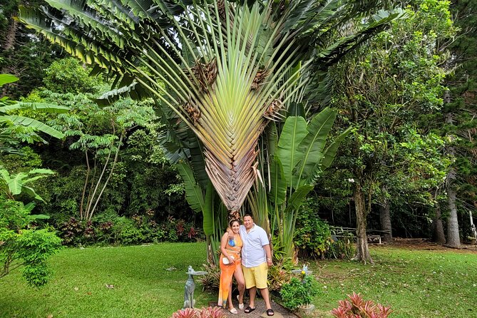 Byodo Temple and Waimea Botanical Garden Tour - Tropical Farms Macadamia Stop: Easy Gifts and a Restroom Break