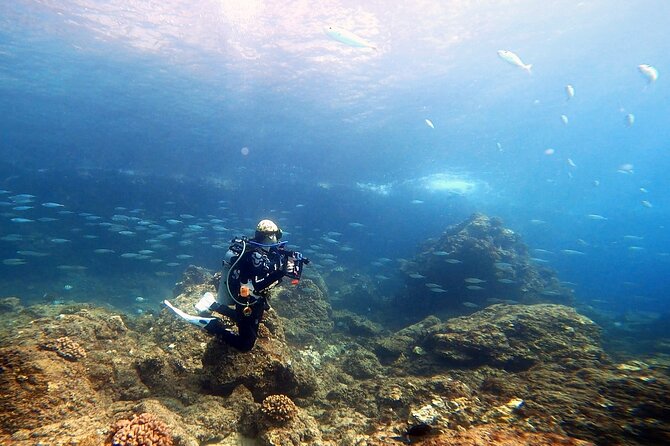 Certified Divers! Scuba dive the Ka'anapali Coast and more! - What the $169 Price Really Covers