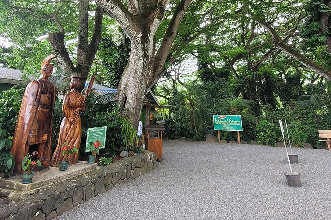 Circle Island 8hr Private Small Group Tour - Key highlights you’ll actually notice